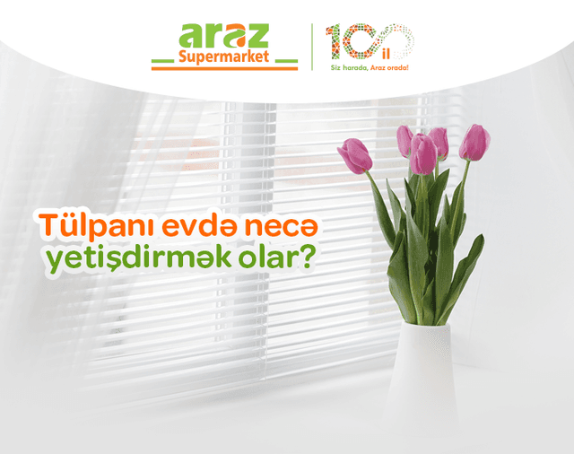 evde-tulran-ciceyi-nese-yetisdirmek-olar-32