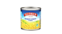 globus-qargidali-425qr-8637