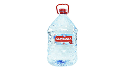 slavyanka-8lt-295