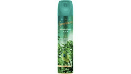 symphony-hava-terav-maqnoliya-300ml-10617