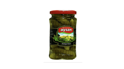 aysan-tursu-xiyar-340qr-8527