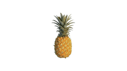 ananas-qold-eded-1965