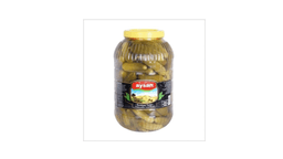 aysan-xiyar-tursuse-670qr-8532