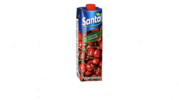 sok-santal-p-albali-1lt-4601662000801-536