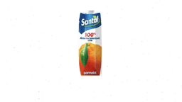 sok-santal-portagal-1lt-4601662000047-541